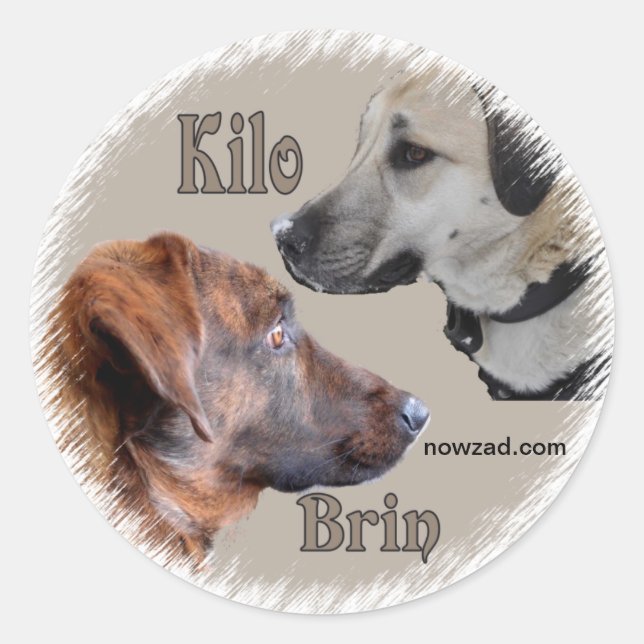 Nowzad Rescue Dogs Brin & Kilo Sticker (Front)