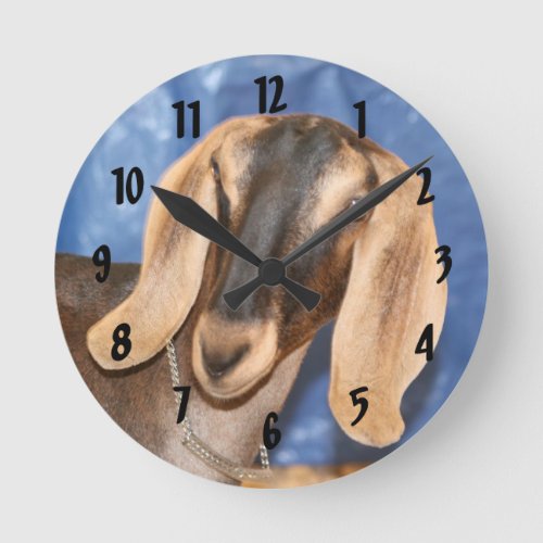 Nubian doe head against blue round clock