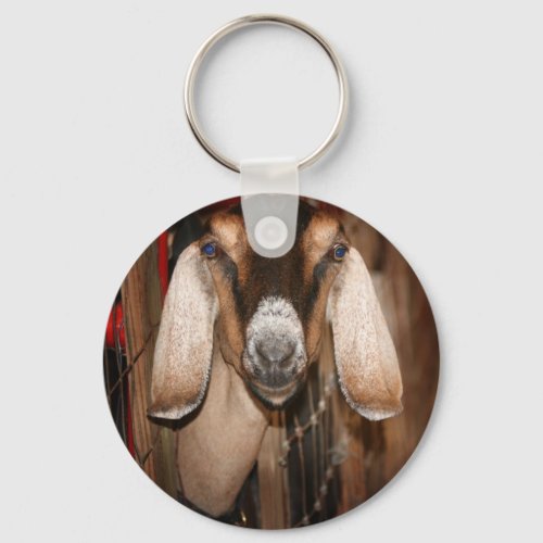 Nubian doe head on getting out of gate keychain