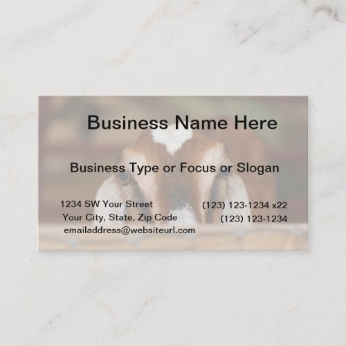 Nubian doe peeking over wooden rail business card
