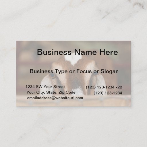 Customizable Nubian doe peeking over wooden rail business card
