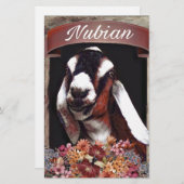 Nubian Goat (Front/Back)