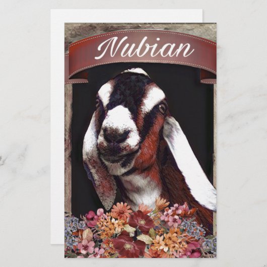 Nubian Goat (Front/Back)