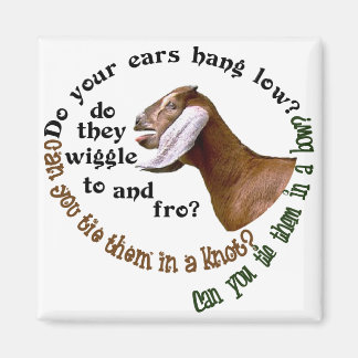 NUBIAN GOAT - DO YOUR EARS HANG LOW? MAGNET