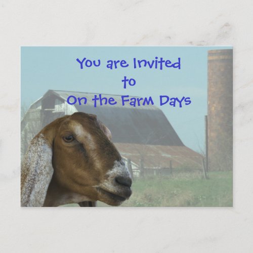 Nubian Goat Farm Day Invitation_ customize Invitation Postcard