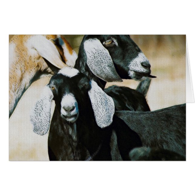 Nubian Goats Cards (Front Horizontal)