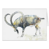 Nubian Ibex 2008 (Front Horizontal)