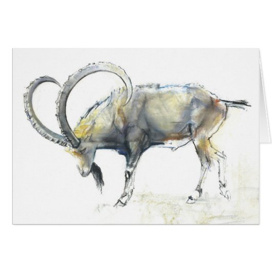 Nubian Ibex 2008 Cards (Front Horizontal)