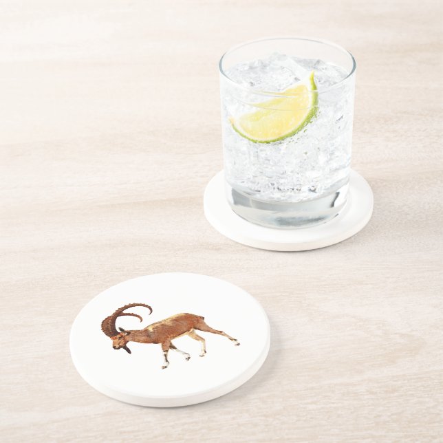 Nubian Ibex - Ein Gedi Sandstone Coaster (Side)