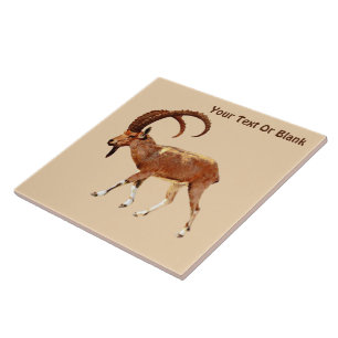 Nubian Ibex - Ein Gedi Tile