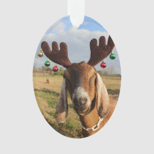 Nubian Reindeer Xmas Ornament
