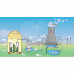 Nuclear Reactor Cutout