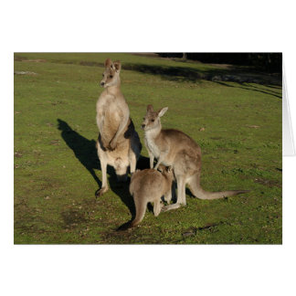 Nuclear 'Roos Cards