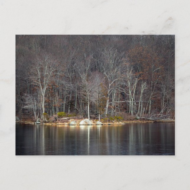 Nuclear Winter Postcard (Front)