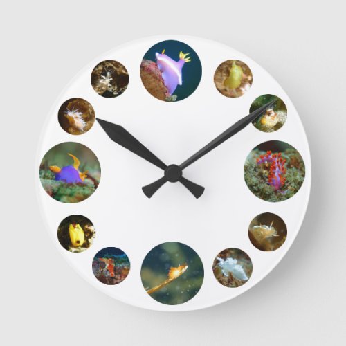 Nudibranch Clock