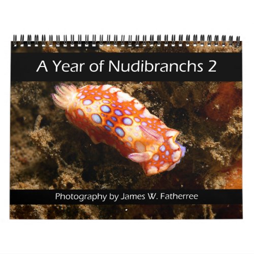 Nudibranch Wall Calendar 2 by J. Fatherree