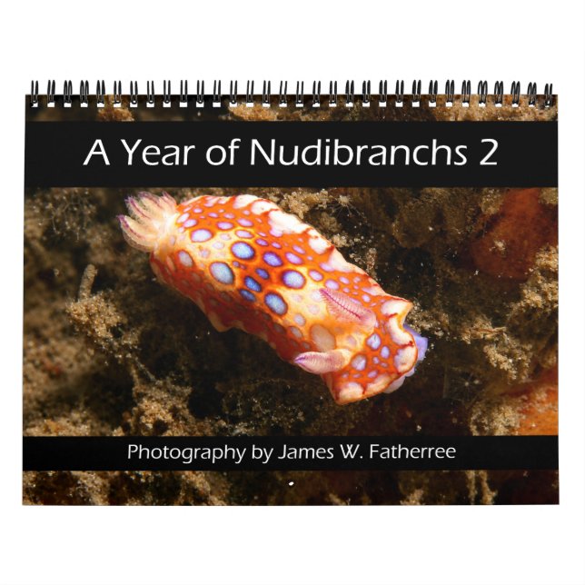 Nudibranch Wall Calendar 2 by J. Fatherree (Cover)