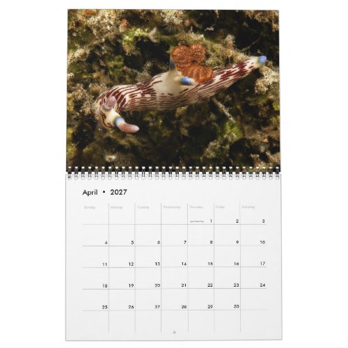 Nudibranch Wall Calendar 2 by J. Fatherree
