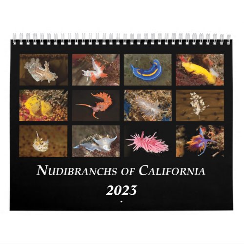 Nudibranchs of California Calendar