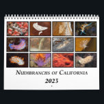 Nudibranchs of California Calendar<br><div class="desc">Nudibranchs, or sea slugs, are shell-less relatives of land snails. They're found in all oceans of the world, and come in a vast array of different forms and colors. This calendar features 12 color photographs representing a selection of the over 100 beautiful and varied species of nudibranchs found along California's...</div>