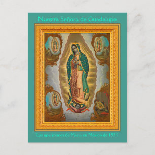 Nuestra Señora de Guadalupe Postcard