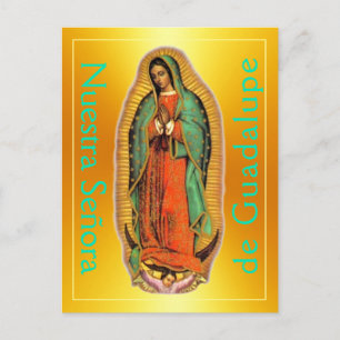 Nuestra Señora de Guadalupe Postcard