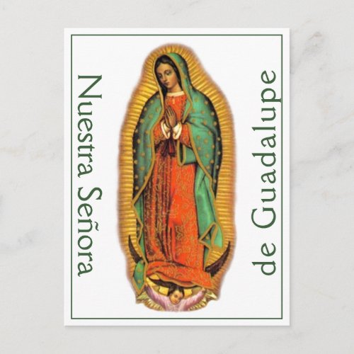 Nuestra Seora de Guadalupe Postcard