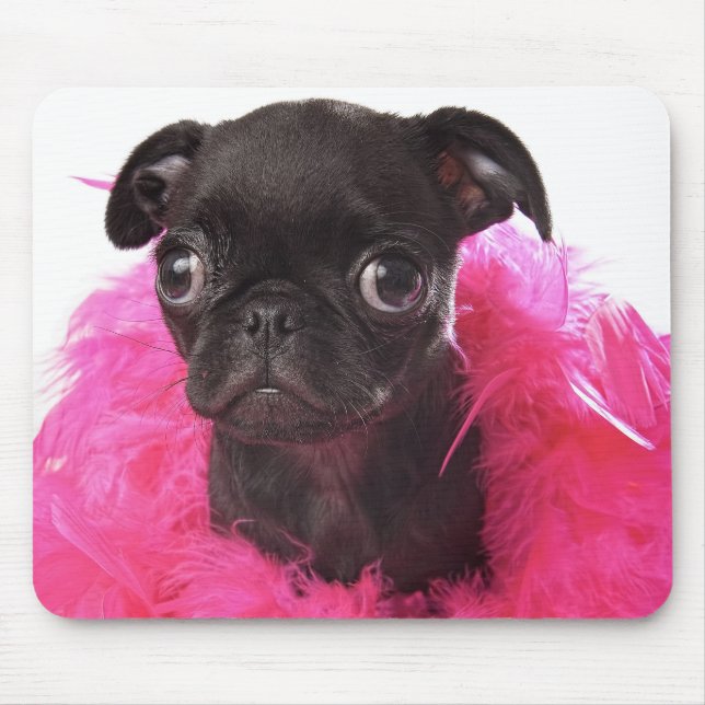 Nugget APARN SpokesPug Mousepad (Front)