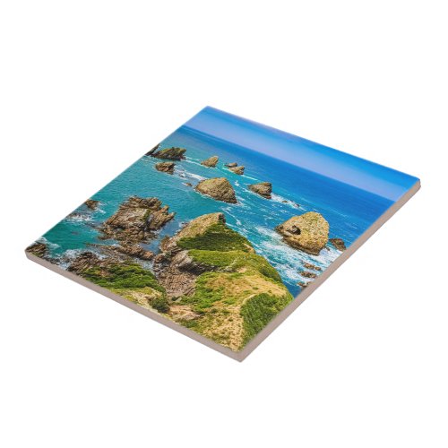 Nugget Point islets New Zealand Ceramic Tile