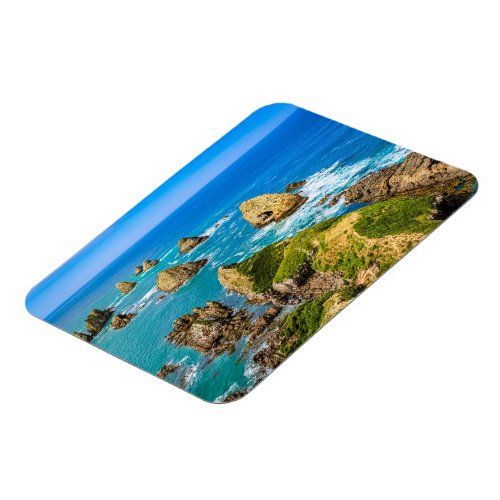 Nugget Point islets New Zealand Magnet