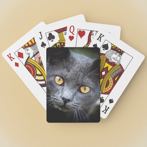 Num_Num the Neighborhood Cat Poker Cards
