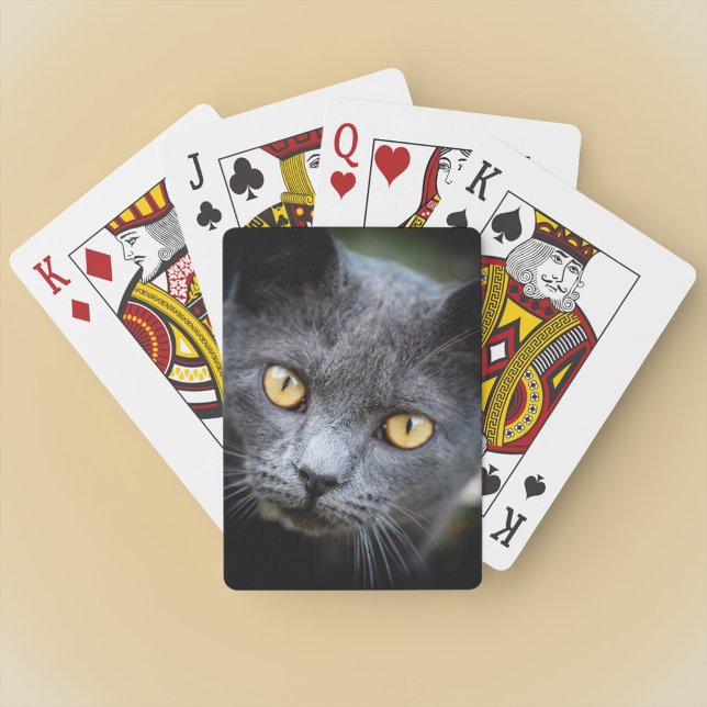 Num-Num the Neighborhood Cat Poker Cards (Creator Uploaded)
