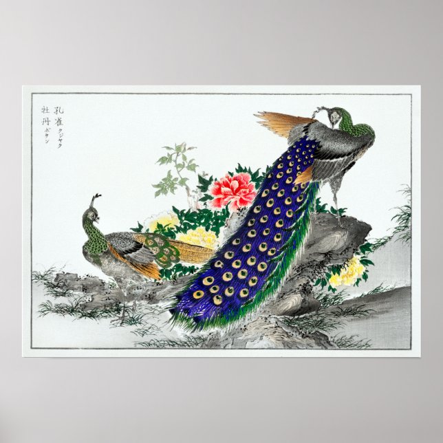 Numata Kashu Peacock and Peony Poster (Front)