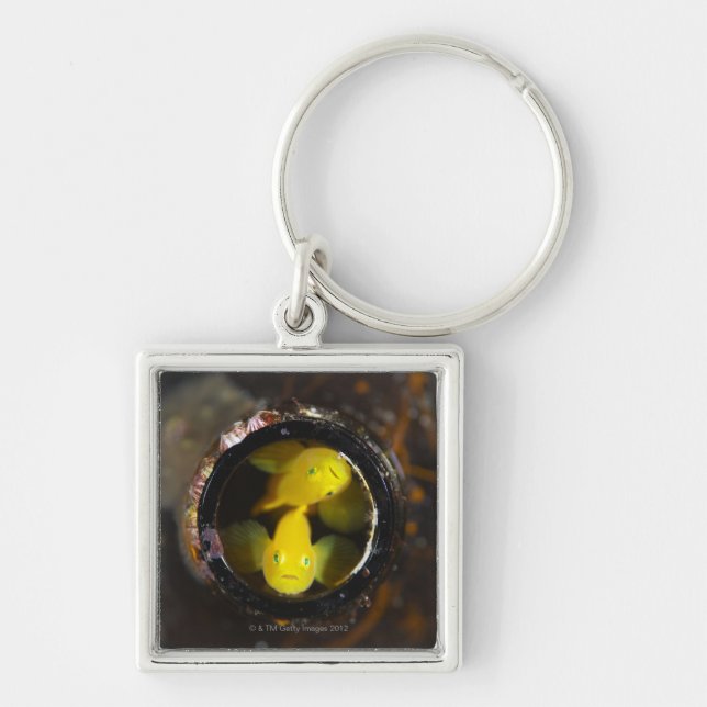Numazu, Shizuoka Prefecture, Japan Keychain (Front)