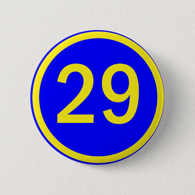 number 29 in a circle button (Front)