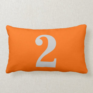 Number 2 lumbar pillow