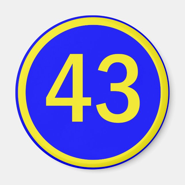 number, 43, in a circle magnet (Front)