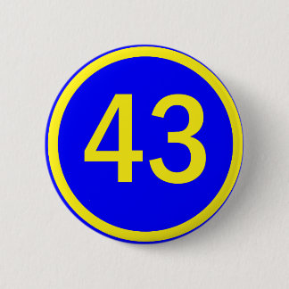 number, 43, in a circle pinback button