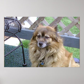 Number One Son Poster