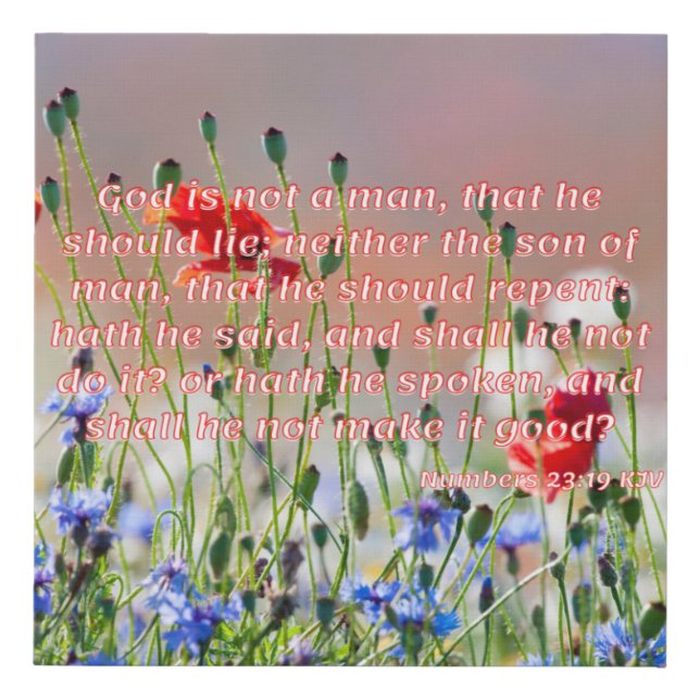 Numbers 23:19 Bible Verse KJV Pic Canvas (Front)
