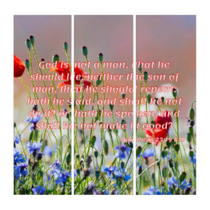 Numbers 23:19 Bible Verse KJV Pic Wall Art