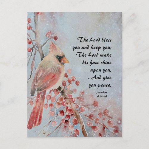 Numbers 6 24_26 Lord Bless You Red Bird  Berries Postcard