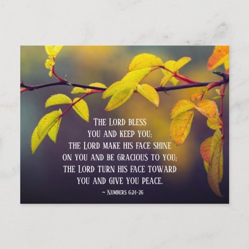 Numbers 624_26 The Lord Bless You and Keep You Postcard