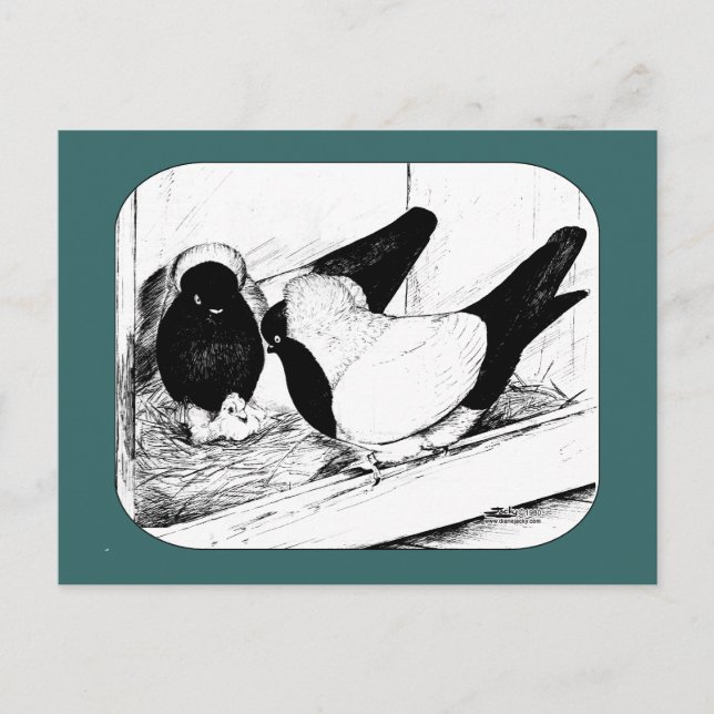 Nuns 1980 postcard (Front)