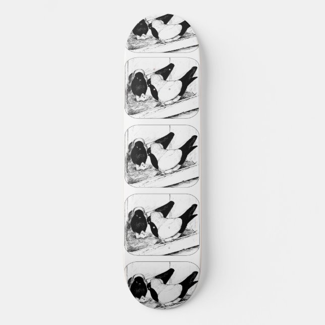 Nuns 1980 skateboard deck (Front)