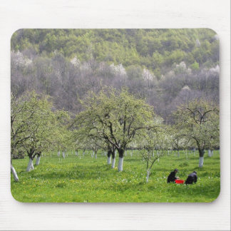 Nuns At Work Mouse Pad