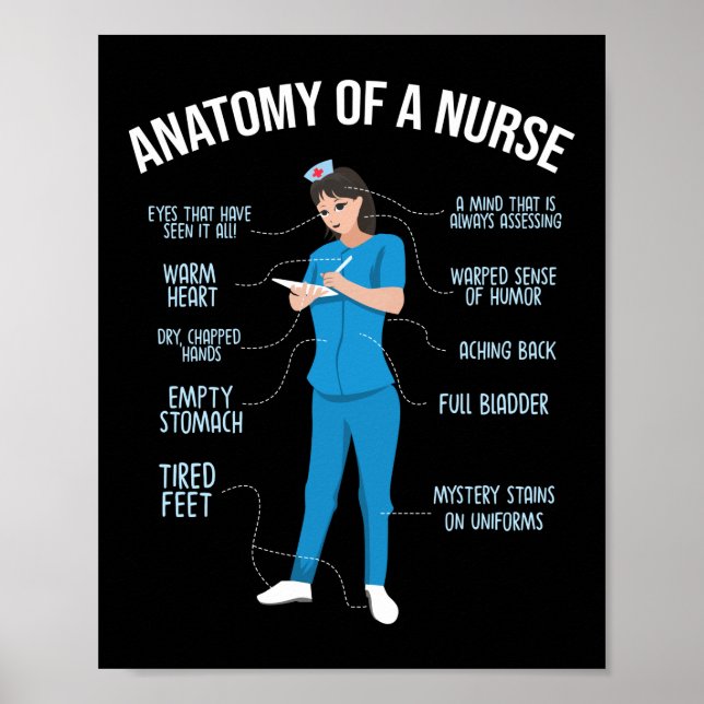 Nurse Anatomy Of A Nurse Poster (Front)