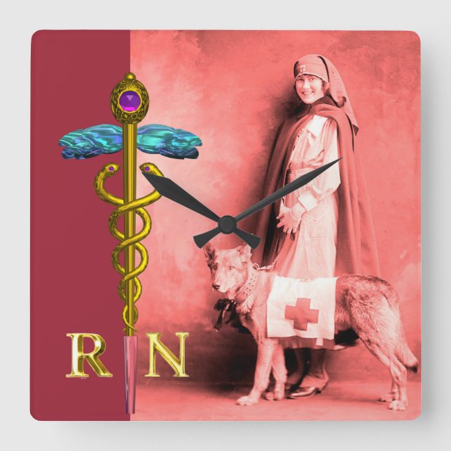 NURSE AND RESCUE DOG /Gold Caduceus RN Emblem Square Wall Clock (Front)