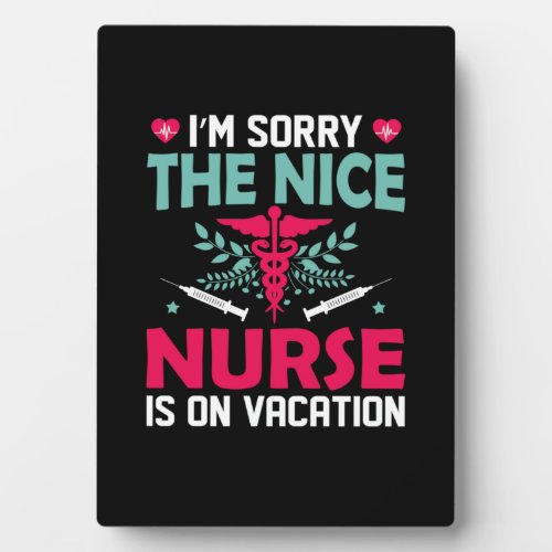 Nurse Gift Im Sorry The Nice Nurse Plaque