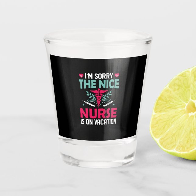 Nurse Gift I'm Sorry The Nice Nurse Shot Glass (Front)